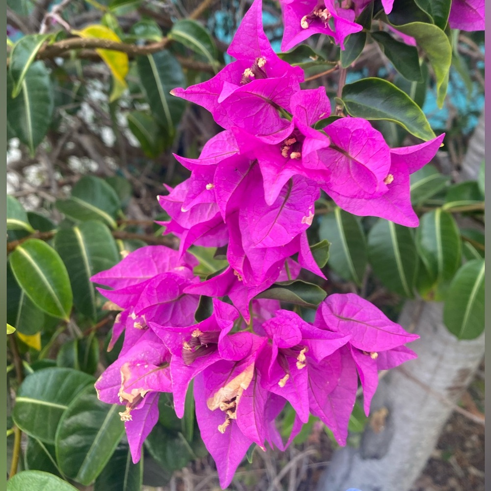 Meet your Posher, Crystin